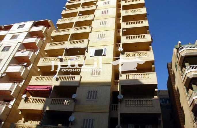 شقة 100 متر رابع نمرة للبحر مسجلة في شاطئ النخيل شقة 100 متر رابع نمرة للبحر مسجلة في شاطئ النخيل عبارة عن : 2 غرفه + حمام + ريسبشن + صاله توزيع للغرف + مطبخ امريكي + 2 فرندا المساحة 100 متر ﹕ حص...