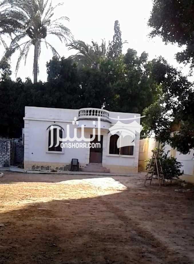 1000 متر للبيع ارض الف متر للبيع بالكينج مريوط قريبة من ميدان الديذرت و السكة الحديد الارض وسط منطقة فيلات راقيه بها شاسيه لفيلا 170م خرسانة بحالة ممتازة ومبني 60م كامل التشطيب عدادات مياه و كهرباء
