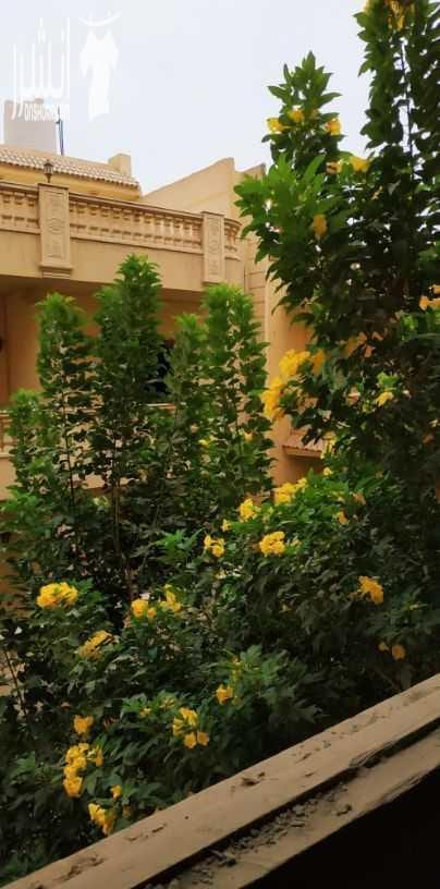 للبيع شقة متميزة جدا بأرقى شوارع حدائق الاهرام، منطقة ع، الطابق الثالث، مساحة 140م. تحتوى الشقة على 3غرف نوم كبيرة وريسيبشن 2قطعة كبير ومطبخ وحمام. تمتاز الشقة بالخصوصية والجمال حيث تطل على حديقة فيل...