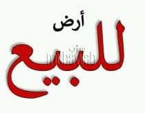 ارض للبيع
كود 4076
2 قيراط زراعى الارض وجاهزة على البناء مسجل شهر عقارى
تطل على شارعين شارع 10 م وشارع 8 م
الشارع به كافه المرافق واجهه 15.6 م
سعر القيراط 450 الف
كوبرى الشموت بالقرب من بنزينه ا...
