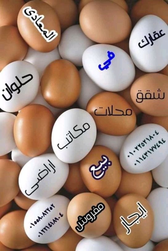 شقق مفروشة بحلون و المعادى
نوفر شقق فندقيه بحلوان و المعادى
فرش راقى .. مكيفه .. ابراج محترمه
لسكن العوائل .. المحترمه
مدد طويله او قصيره
٠١٥٥٨٠٨٢٢٥٢