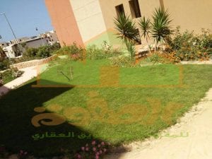 شاليه بالساحل الشمالى
كود 3179
شاليه مساحه 100 م صافى
غرفتين ورسيبشن قطعتين ومطبخ امريكى و 2 حمام
دور تانى تراس يرى البحر
الغرف تطل بالكامل على البسين
تشطيب سوبر لوكس
سعر مناسب اقل من سعر المنطقه
ا...
