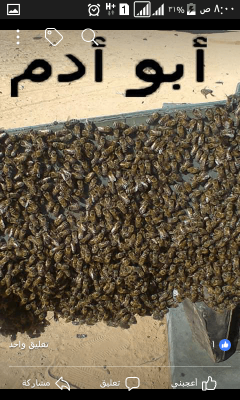 عسل نحل طبيعي بجوده وخبره
لا تنسَ أنك شاهدت هذا الإعلان في عنكبوت
عسل نحل طبيعي بجوده وخبره و...