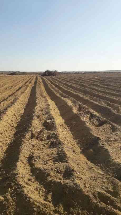 الريف المصري واخر عروض 2018
فقط وحتي نهاية شهر ديسمبر سعر الفدان مزروع 40 الف فقط بدلا من 55الف وسعر الفدان مستصلح فقط 25 الف
الموقع طريق العياط فقط 50 كم من ميدان الرماية واقل من ساعة من اي مكان داخ...