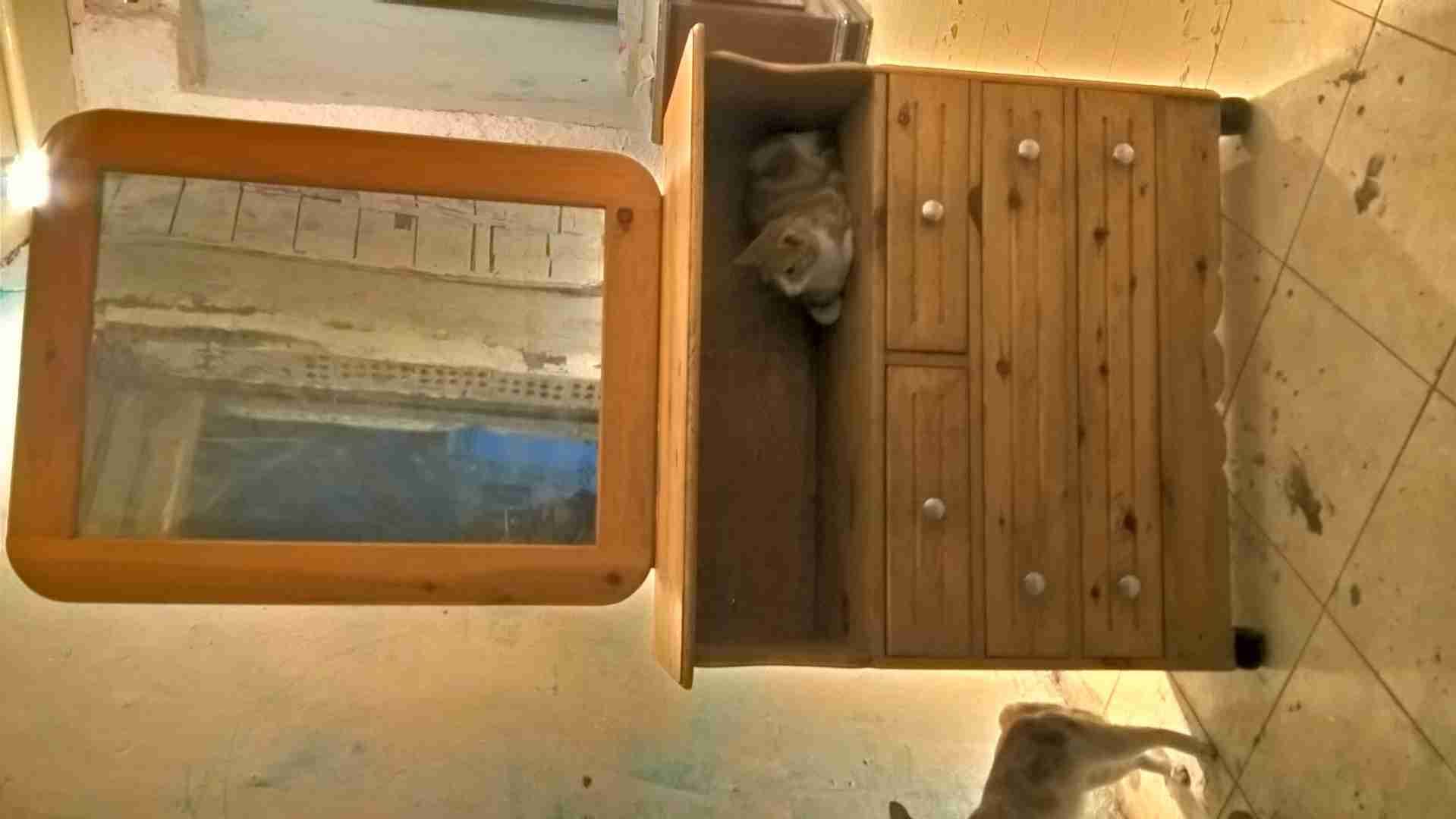 تسريحة كالجديدة .
لا تنسَ أنك شاهدت هذا الإعلان في عنكبوت
4 أدراج ، 2 زجاج على السطح ، مراية...