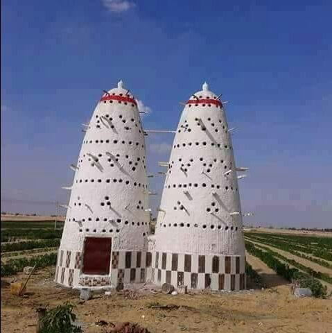 شركتنا بتقدملك مشروعك المربح للاستثمار الزراعي بتقدملك
ارض زراعية مساحتها 50فدان يمكنك تجزئتها حتي 5فدان الارض ممهدة ومستوية تصلح لكافة انواع الزراعات ولاقامة المشاريع الانتاجية
مصرح للبناء 2.5علي ك...
