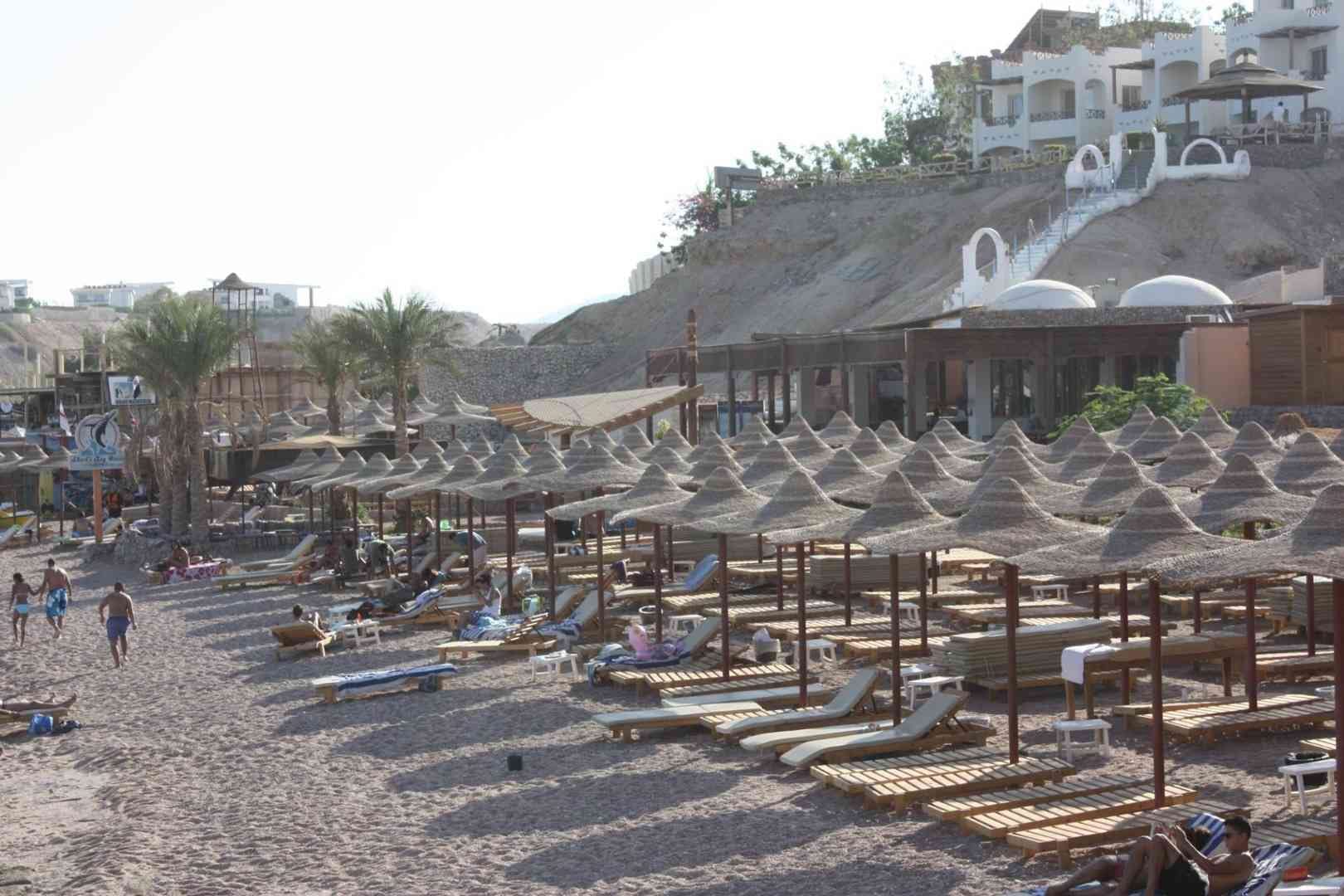 احجز معنا في أجمل فنادق شرم الشيخ شاركس باي اواسيز
لا تنسَ أنك شاهدت هذا الإعلان في عنكبوت
فن...
