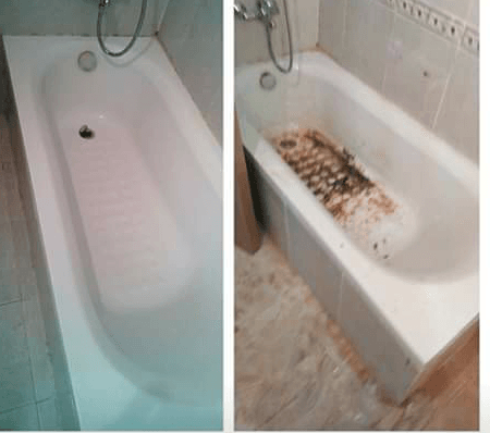 01157139355 شركة جنة لخدمات لتنظيف منازل وفلل
لا تنسَ أنك شاهدت هذا الإعلان في عنكبوت
شركة تن...