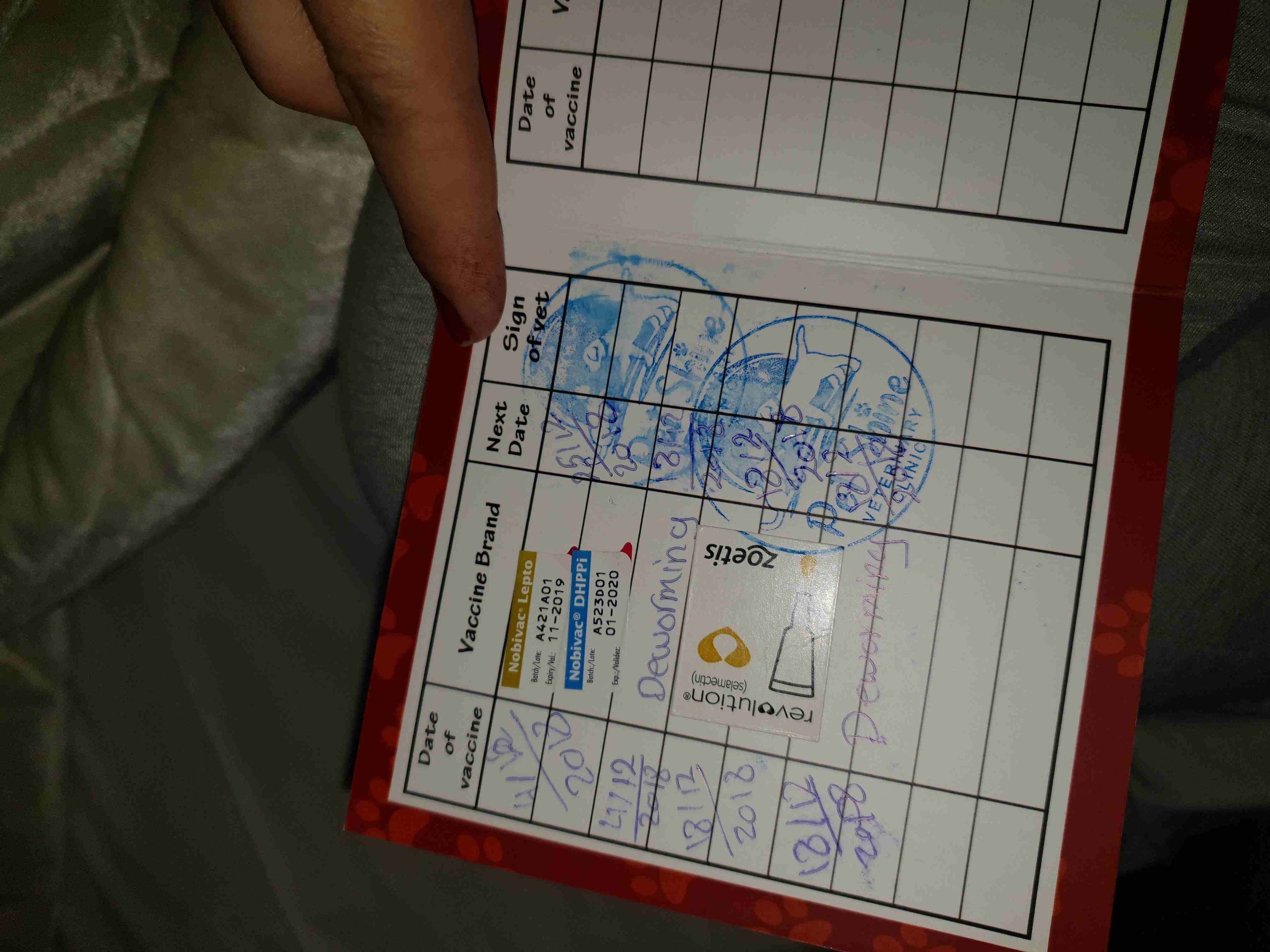 كلب جريفون عمره 3 شهور
لا تنسَ أنك شاهدت هذا الإعلان في عنكبوت
جريفون عمره 3 شهور
تم تطعيمه 3 تط...