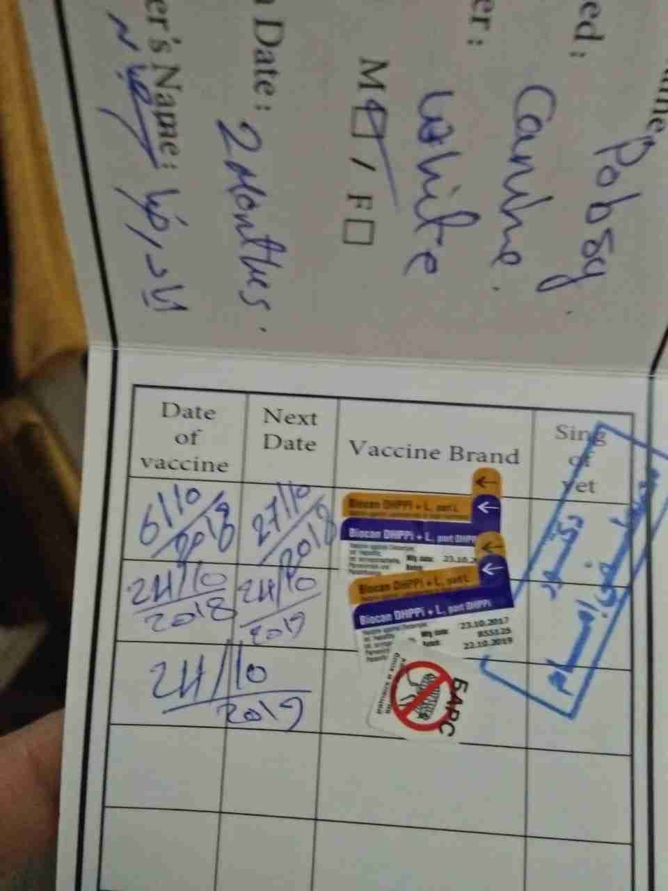 كلب جريفون
لا تنسَ أنك شاهدت هذا الإعلان في عنكبوت
كلب جريفون واخد التطعامات ومعاه حامل بتاع...