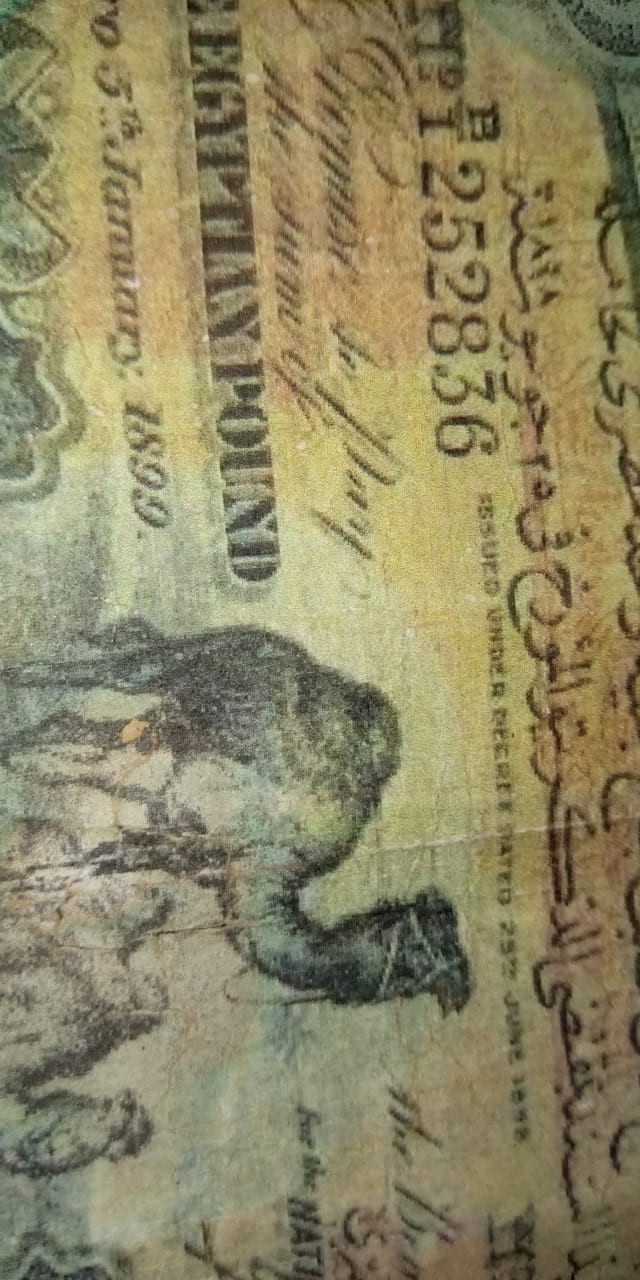الجنيه ابو جملين
لا تنسَ أنك شاهدت هذا الإعلان في عنكبوت
الجنيه ابو جملين الاصلى...