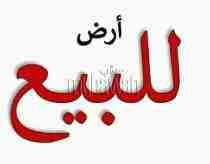 ارض للبيع بالمرج الجديده
كود 4047
ارض 120 م واجهه 10 م على شارع 6 م تبعد عن الاسفلت 300 م
سعر المتر 2500 قابل للتفاوض البسيط
طريق المرج الخانكه محيط شارع سريؤس
للاستعلام HOTLINE: 01289896363
ا...
