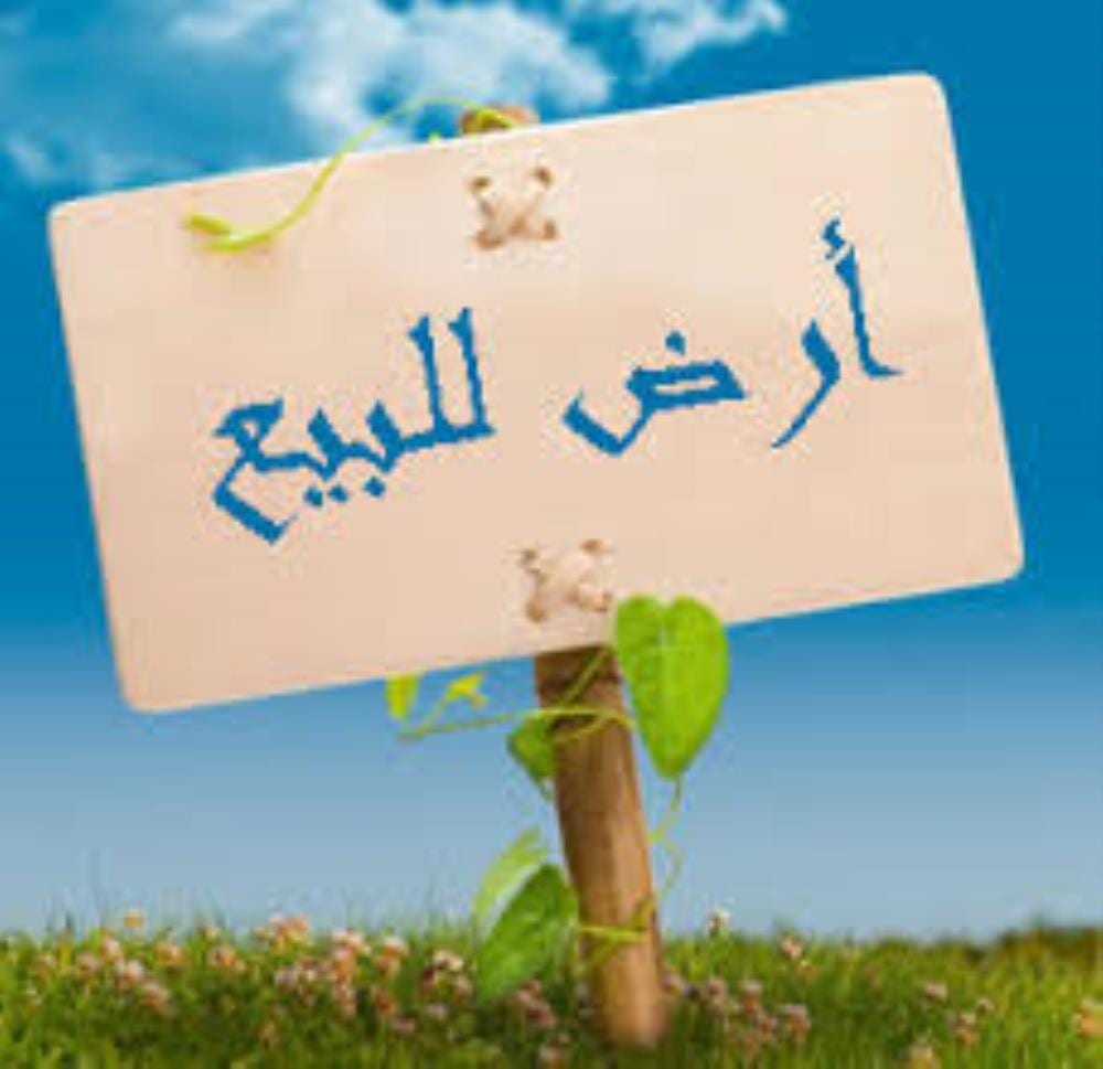 ارض للبيع بالفلل
كود 4073
ارض مساحه 227 م شارع 10 م
براءه مبانى كامله المرافق
سعر المتر 12 الف
الفلل بعد كوبرى الفحص
للمعاينه والاستعلام Hot line\ 01289896363
01066684051\01151178817\01289896364
ل...