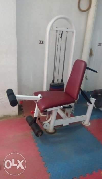 gym for sale
لا تنسَ أنك شاهدت هذا الإعلان في عنكبوت
اجهزة جيم كامل للبيع...