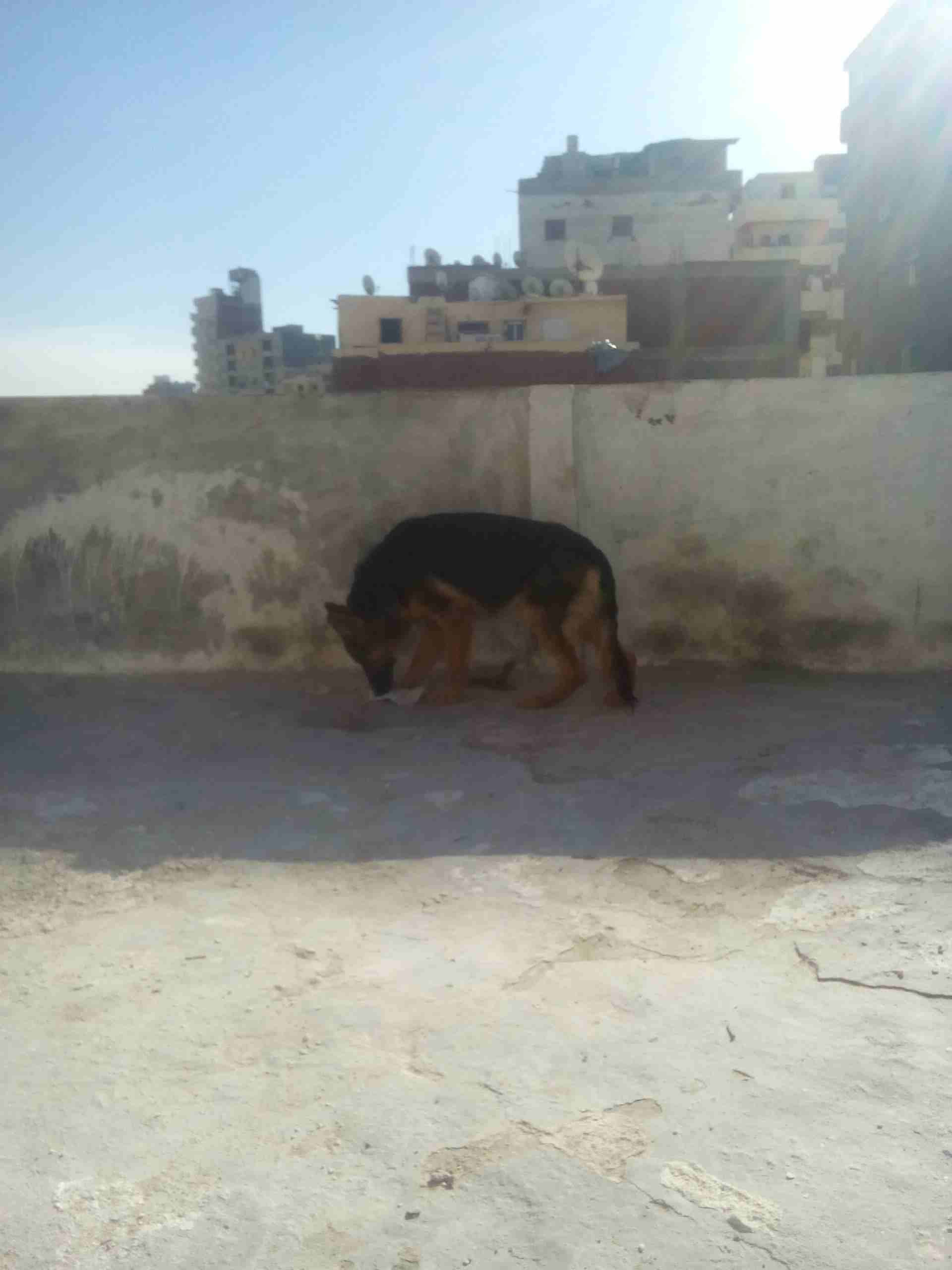نتايه جيرمن شو لاين 10 شهور
لا تنسَ أنك شاهدت هذا الإعلان في عنكبوت
نتايه جيرمن شو لاين تقليب عال...