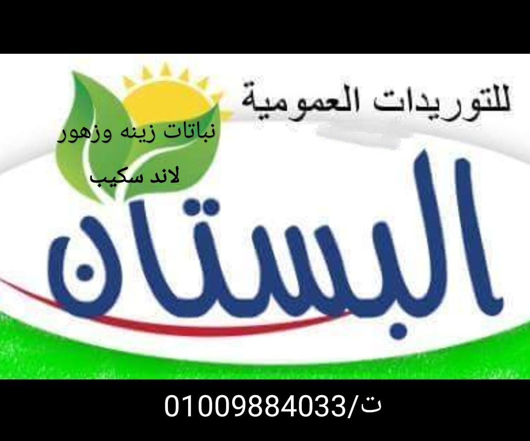 توريد نباتات زينه وزهور ونجيله طبيعيه
لا تنسَ أنك شاهدت هذا الإعلان في عنكبوت
يوجد جميع انواع...