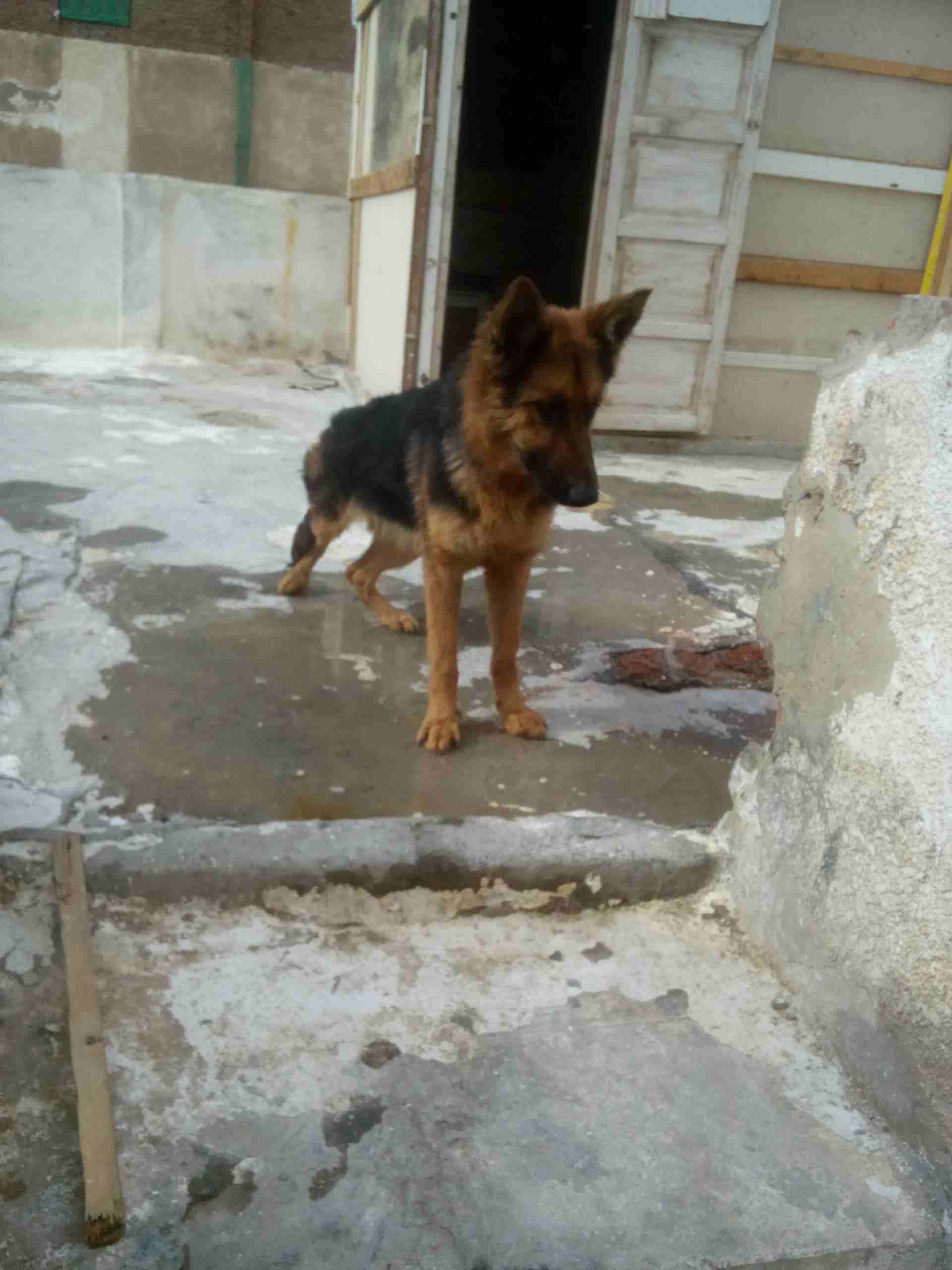 نتايه جيرمن شو لاين 10 شهور
لا تنسَ أنك شاهدت هذا الإعلان في عنكبوت
نتايه جيرمن شو لاين تقليب عال...