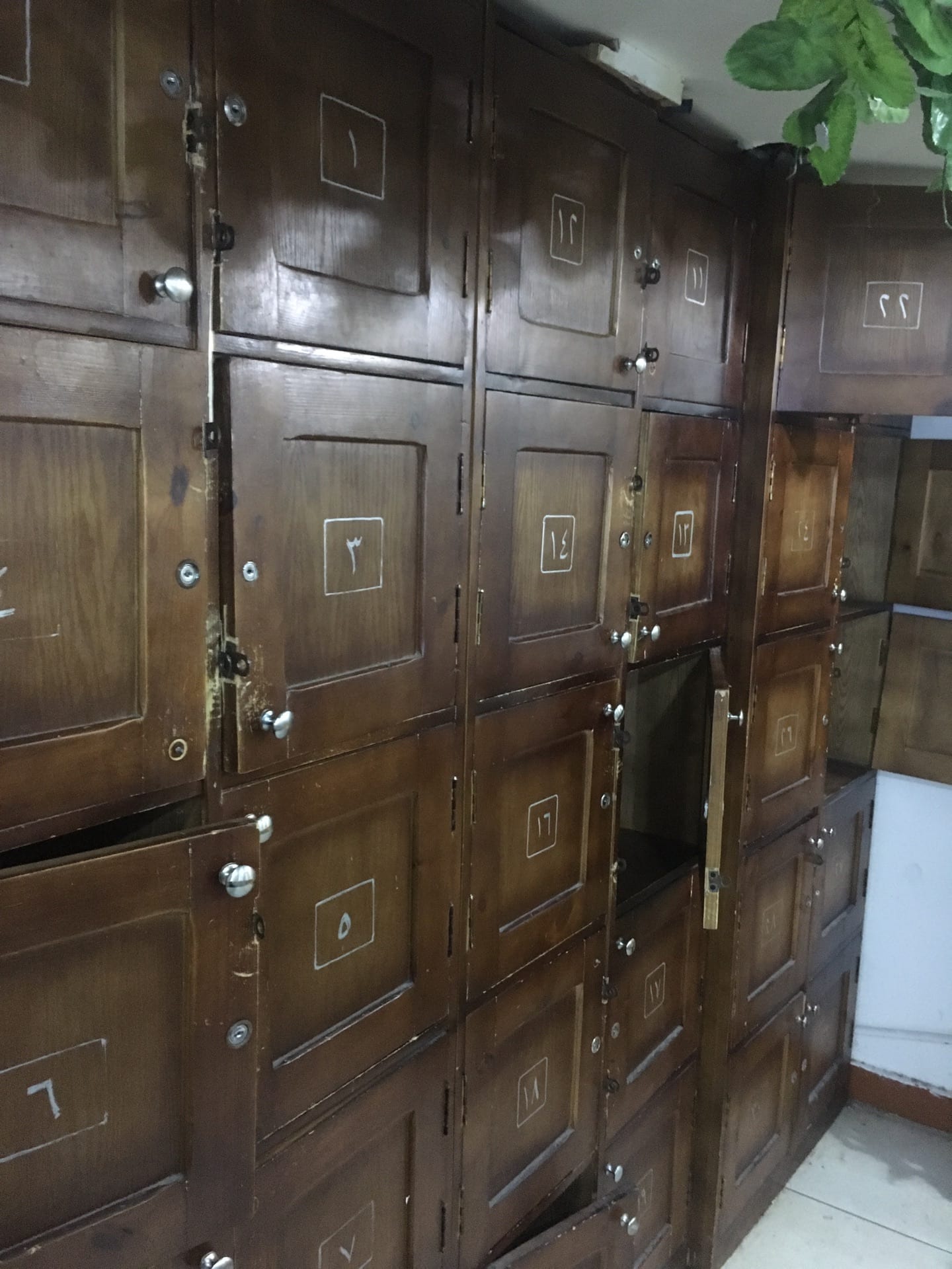 الاسكندريه رشدى على الترم
لا تنسَ أنك شاهدت هذا الإعلان في عنكبوت
جيم للبيع كامل 270 الف ج...