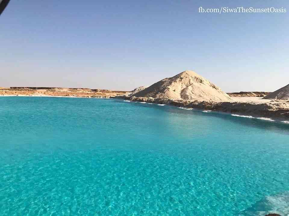 احجز معنا في أجمل فنادق شرم الشيخ شاركس باي اواسيز
لا تنسَ أنك شاهدت هذا الإعلان في عنكبوت
فن...
