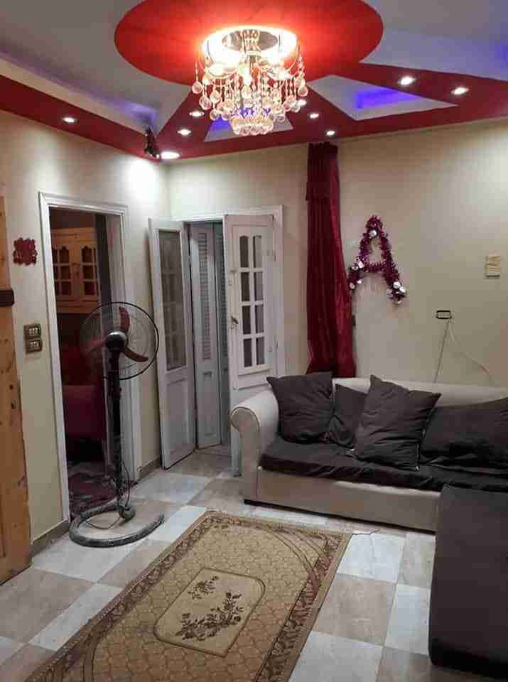 الصقر لخدمات الاثاث والبضائع
لا تنسَ أنك شاهدت هذا الإعلان في عنكبوت
الصقرلخدمات الاثاث والبض...