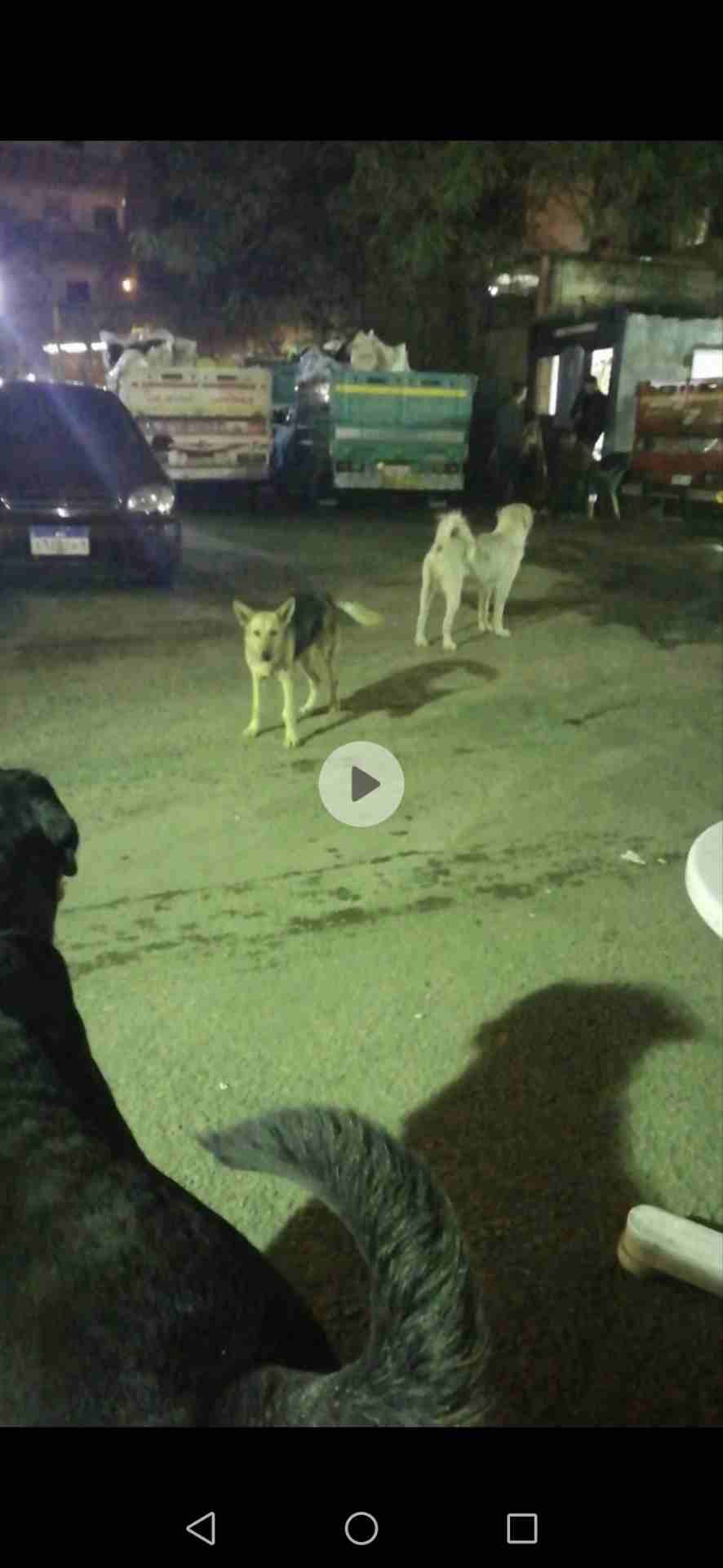 ذكر Rottweiller للبيع 10 شهور
لا تنسَ أنك شاهدت هذا الإعلان في عنكبوت
بسم الله ما شاء الله لا...