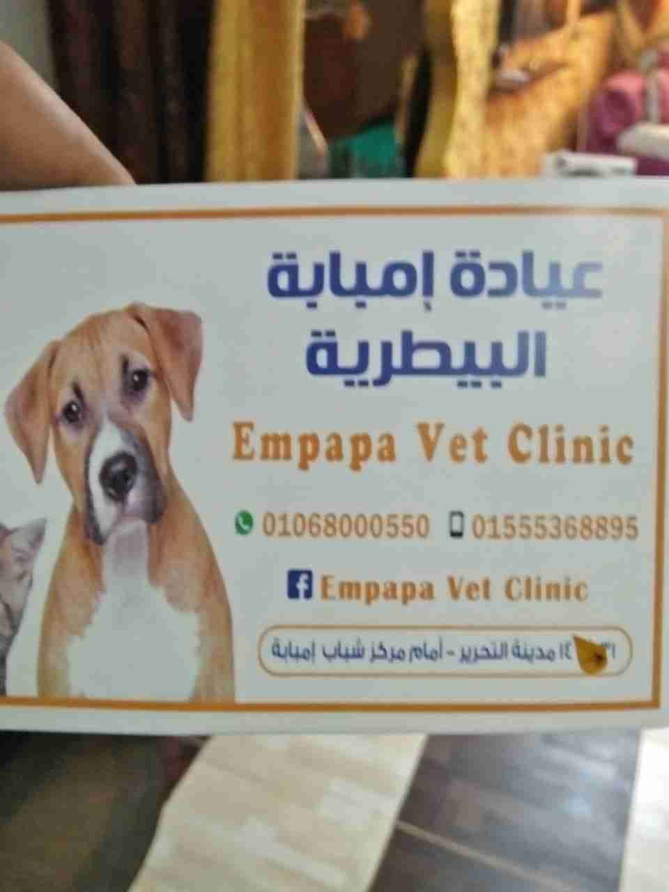 كلب جريفون
لا تنسَ أنك شاهدت هذا الإعلان في عنكبوت
كلب جريفون واخد التطعامات ومعاه حامل بتاع...