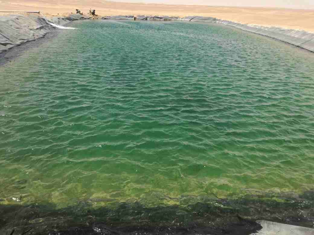 امتلك 5 فدان مجهزين بشبكات الري وجاهزين علي الزراعه في مدينه نهر الخير الزراعيه
مميزات المشروع
1- خصوبه الأرض وجودنها تقدر تزرع أي حاجه لجميع الأنواع سواء خضار او اشجار أو محاصيل
2- التربه رمليه طف...
