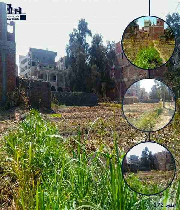 آراضي للبيع اسعار مميزة جدا ( كود 172 )
*آرض للبيع مساحة 10 قيراط زراعة بجانب مقابر قرية مسلمية مطلوب لسعر قيراط 80.000 جنية سعر قابل للتفاوض .
*آرض للبيع مساحة 9 قيراط زراعة بجوار مقابر قرية مسلمي...