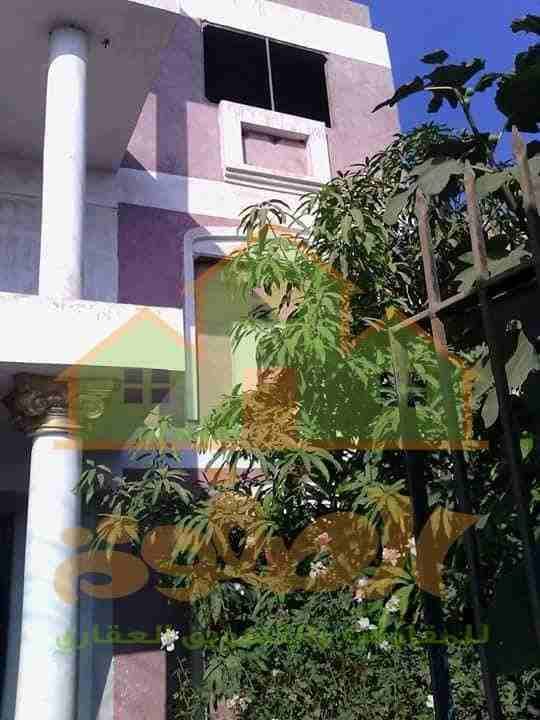 ود 3243
فيلا مساحه 180 م ومبانى مساحه 125 م
مبنى 3 ادوار ورووف واجهه 8 م
الفيلا تطل على حديقه وجراج خاص للسياره
الارضى رسيبشن مفتوح ومطبخ وحمام سوبر لوكس
الاول ...