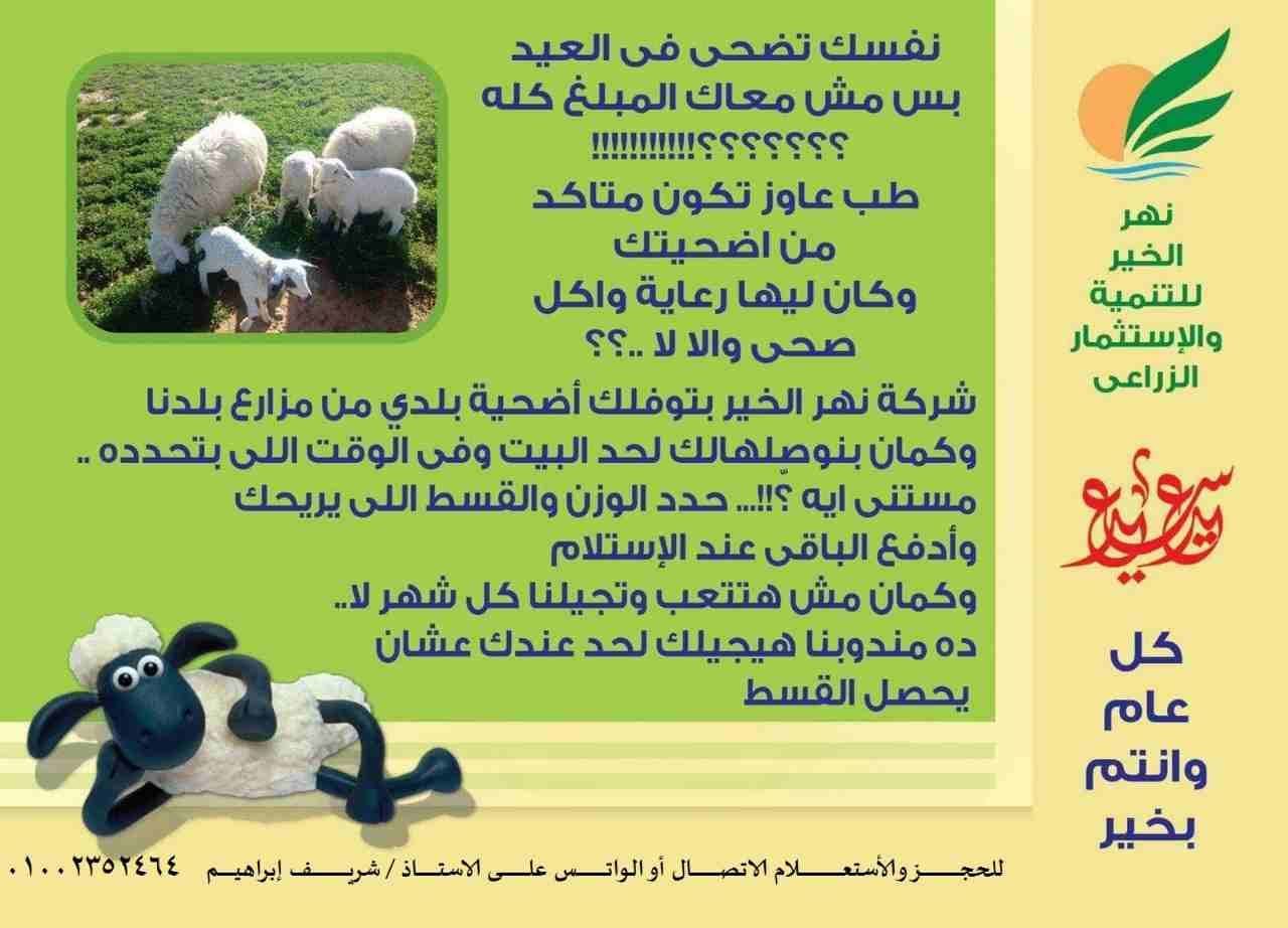 لو عايز تضحى السنه اللى جايه ...
يبقى خروفـك عـنـدنا
بسعر النهاردة ........ أيووووووه بسعر النهارده
وكمان بالتقســــــــــــــــــــــــــــــــــــــــــــيـط
يعنى حضرتك مش محتاج تستن...