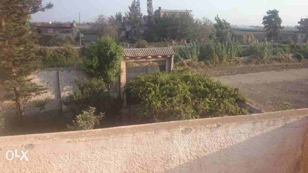 ثلاجة لحفظ الخضر والفاكهة سعة 1000 طن و محطة تصدير وفيلا سكنية
لا تنسَ أنك شاهدت هذا الإعلان في عنكبوت...