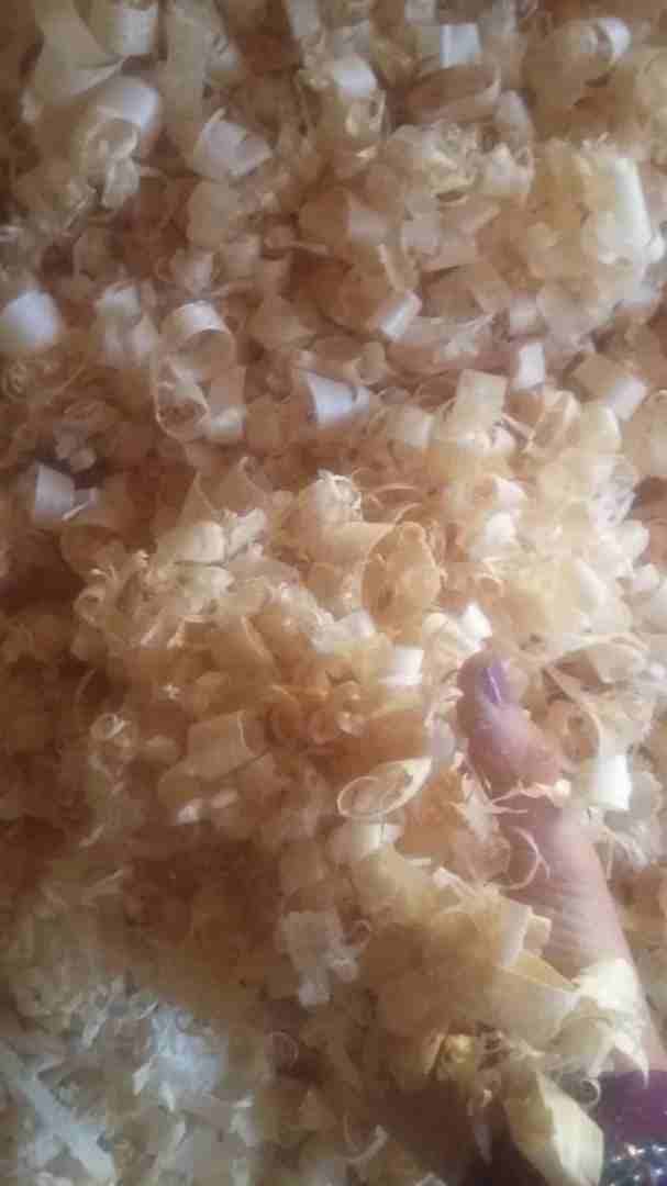 نشارة ورش للبيع محلي وبالات مكبوسة للتصدير
لا تنسَ أنك شاهدت هذا الإعلان في عنكبوت
شركة المصري لل...