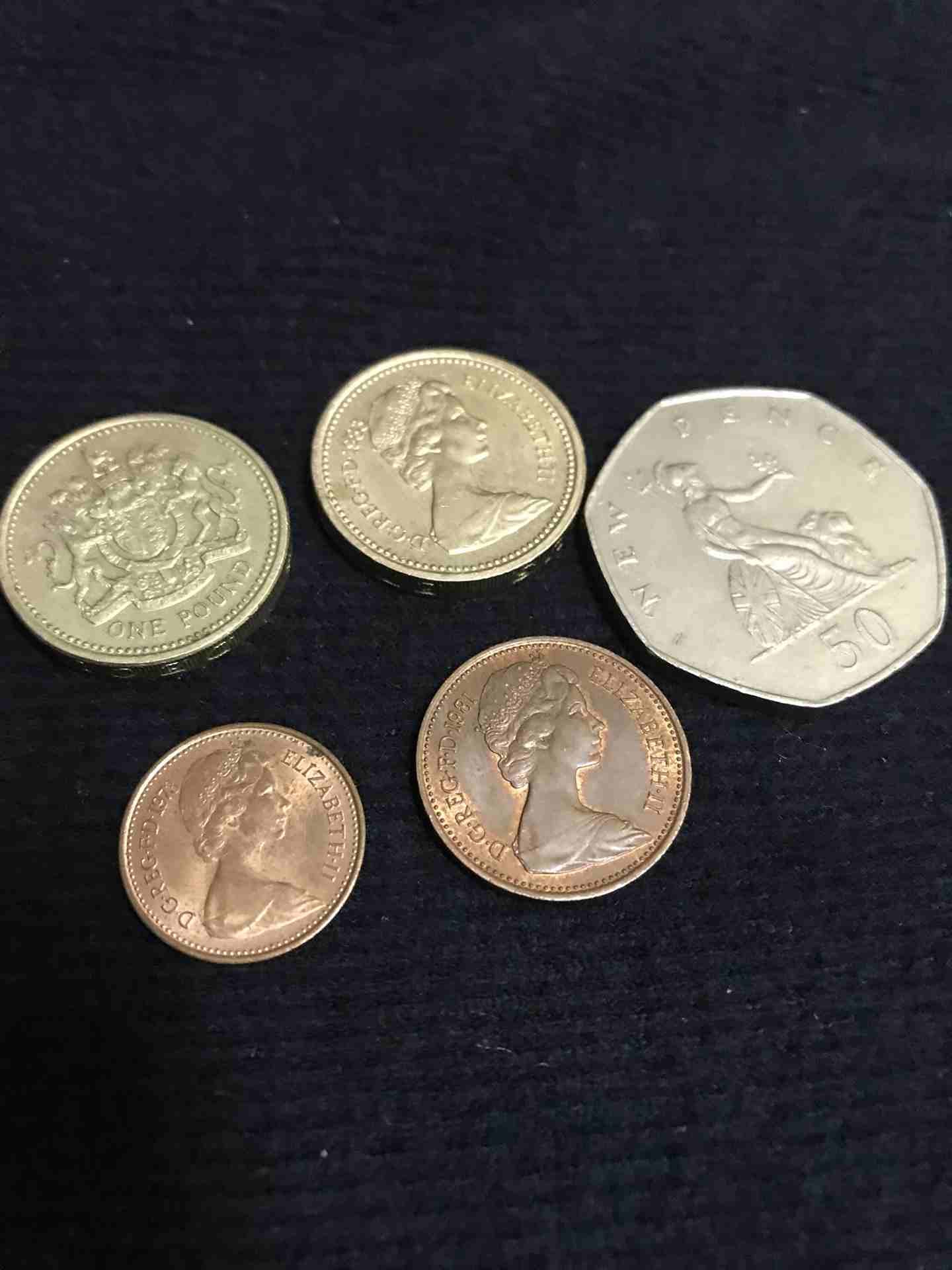 هواة اليزابيث الملكة
لا تنسَ أنك شاهدت هذا الإعلان في عنكبوت
هواة الملكة اليزابيث...