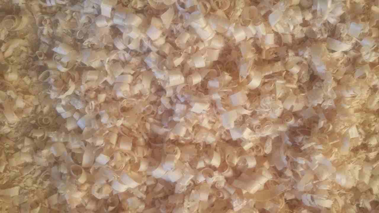نشارة ورش للبيع محلي وبالات مكبوسة للتصدير
لا تنسَ أنك شاهدت هذا الإعلان في عنكبوت
شركة المصري لل...