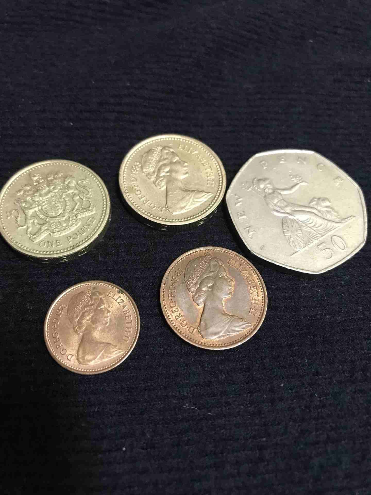 هواة اليزابيث الملكة
لا تنسَ أنك شاهدت هذا الإعلان في عنكبوت
هواة الملكة اليزابيث...