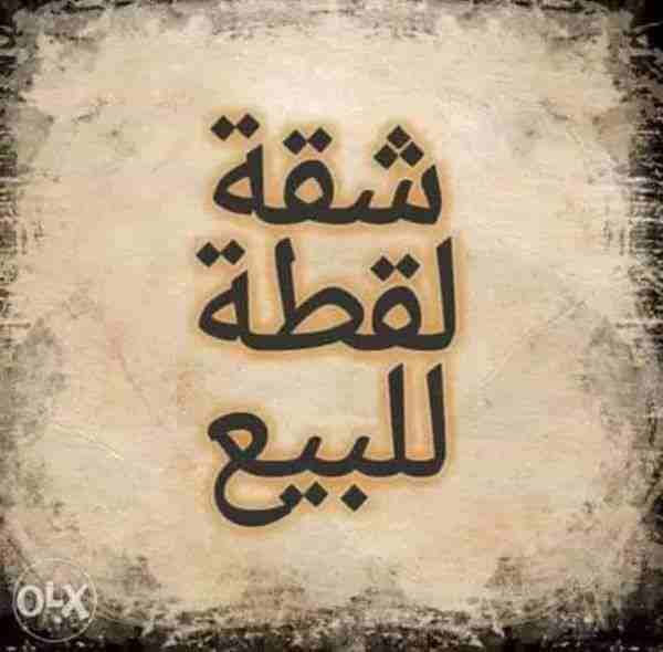 كود 132
شقة دور 4
3 غرف و مطبخ و حمام و صالة
90 متر
وجهه بحري
تشطيب الجهاز
قسط ثابت 798 مدفوع سنتين و نصف
مطلوب 125 الف
HOT LINE : 01289896363
01202185022/01202184883
للتواصل عبر الفيس بوك...