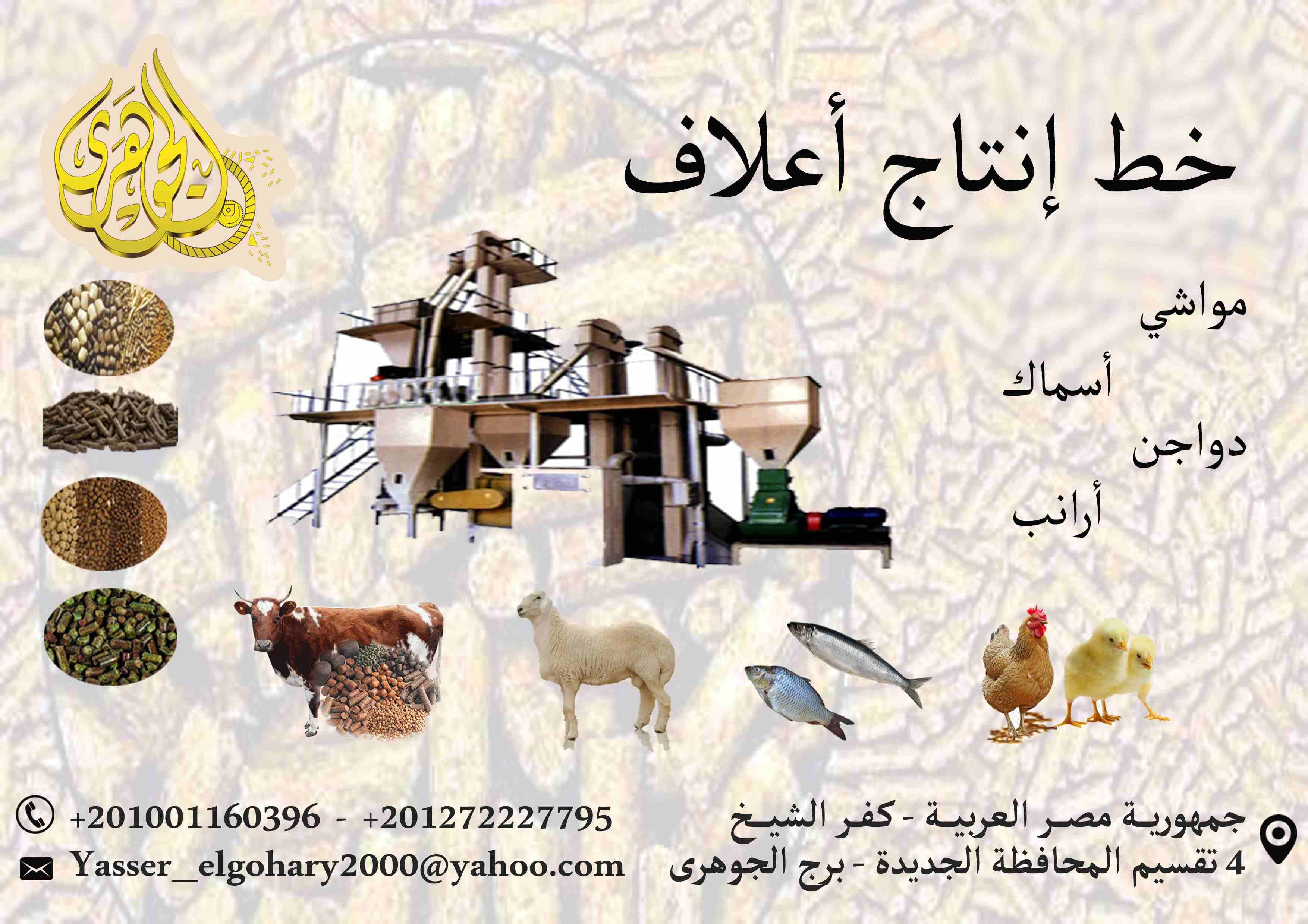 خط انتاج اعلاف(مواشي – دواجن – اسماك - ارانب)
يمكنك انشاء مصنعك الان على حسب احتياجاتك وبقدرات انتاجية مختلفة
مصنع اعلاف مواشى
مصنع اعلاف دواجن
مصنع اعلاف اسماك
مصنع اعلاف ارانب
ويوجد لدي...