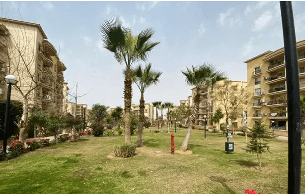 الايجار بالمرحلة العاشرة بالرحاب النموذج الذكي 211 م
بالمرحلة العاشرة شقة نموذج F موقع مميز جدا عبارة عن 3 غرفة نوم 3 حمام اتجاة شوقي بحري العمارة شقتين بالدور