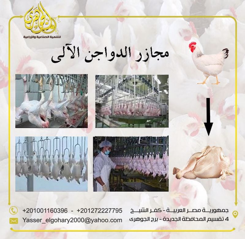 مشروع مجزر دواجن الى
مشروع مجزر دواجن آلي لذبح وتنظيف وتغليف الدواجن والطيور بغرض بيعها الى جهات متنوعة يعد واحدًا من المشاريع المتميزة التي يمكن ان تحقق ارباح ضخمة على مدار فترة عمل المشروع
(المشاري...