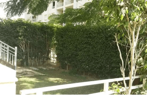 للبيع ارضي بحديقه b7 تشطيبات خاصه فيو جاردن ٨٢ بسعر لقطه
للبيع بسعر لقطه b7
٨٢م ٢غرفه ١حمام
فيو جاردن كبير
تشطيبات خاصه
متاح البيع بالفرش او بدون