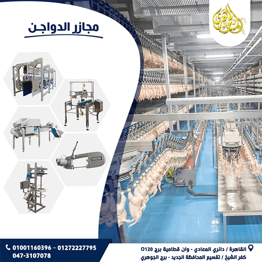 مجازر دواجن آلية