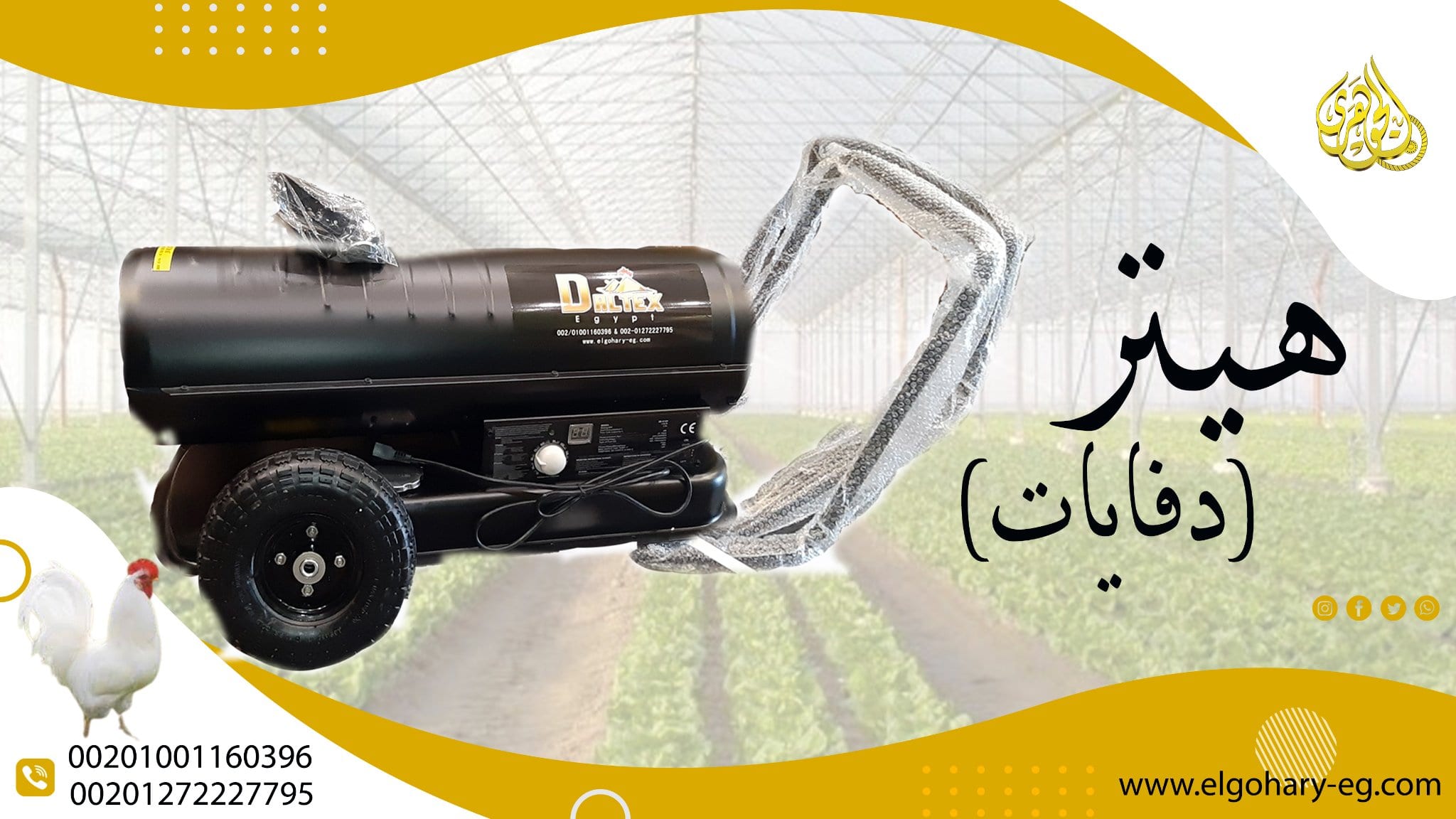 الهيتر الصيني